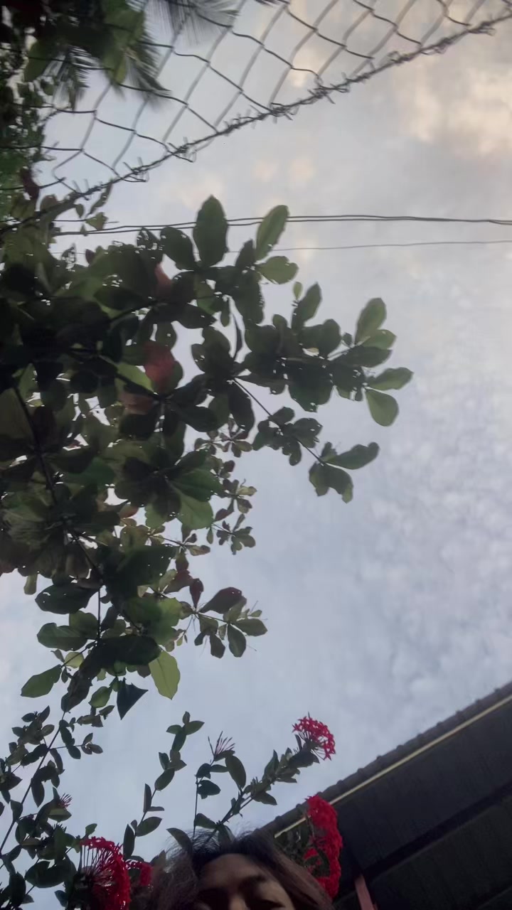 @🍓特特🚬🎧