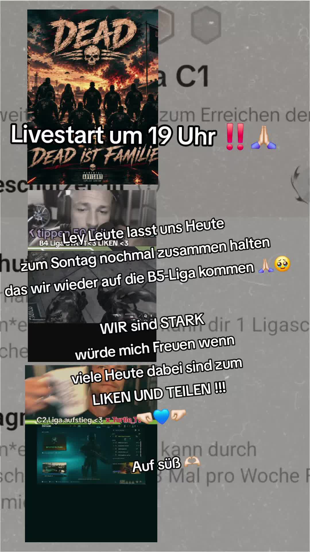 @x_Turtle_Tv