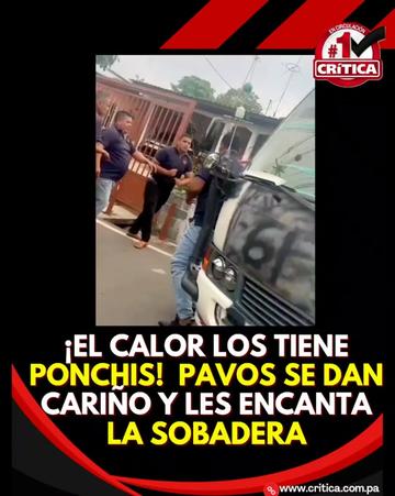 @criticapa