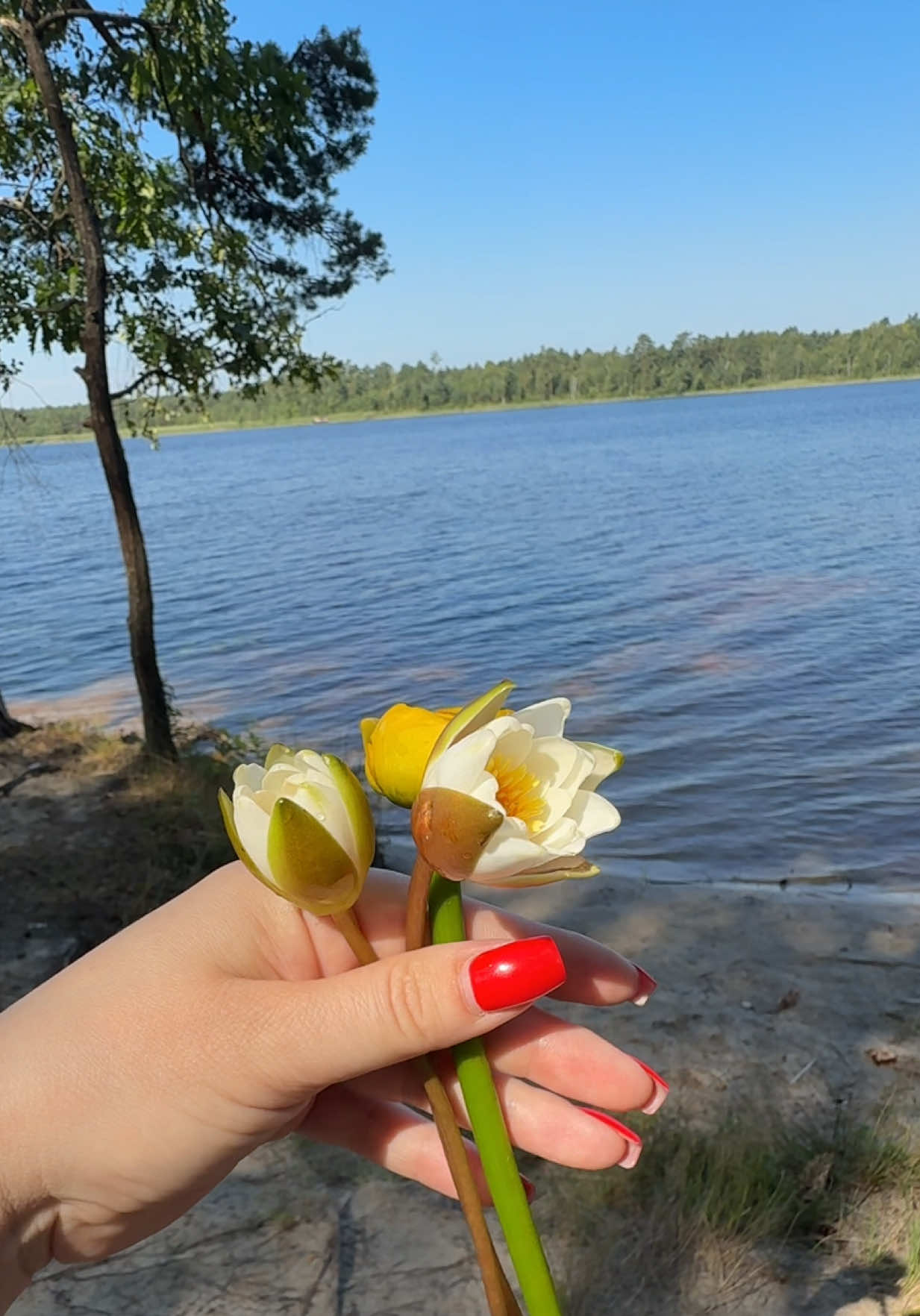 @ol_romashka