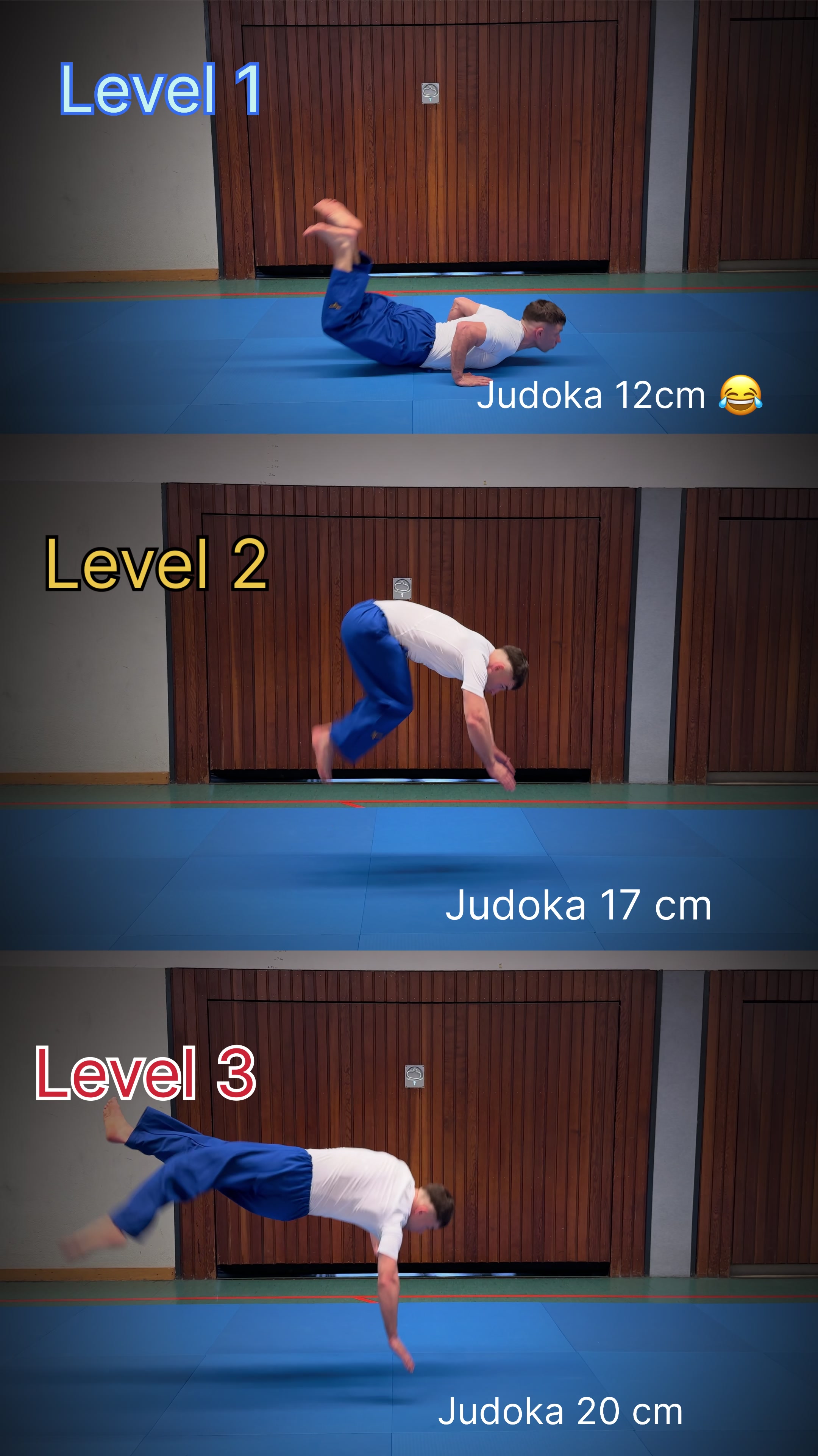 @Cyber-Judoka