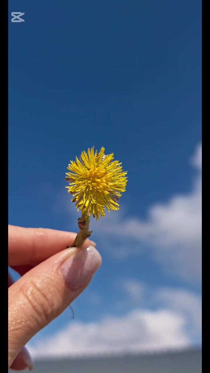 @Настя