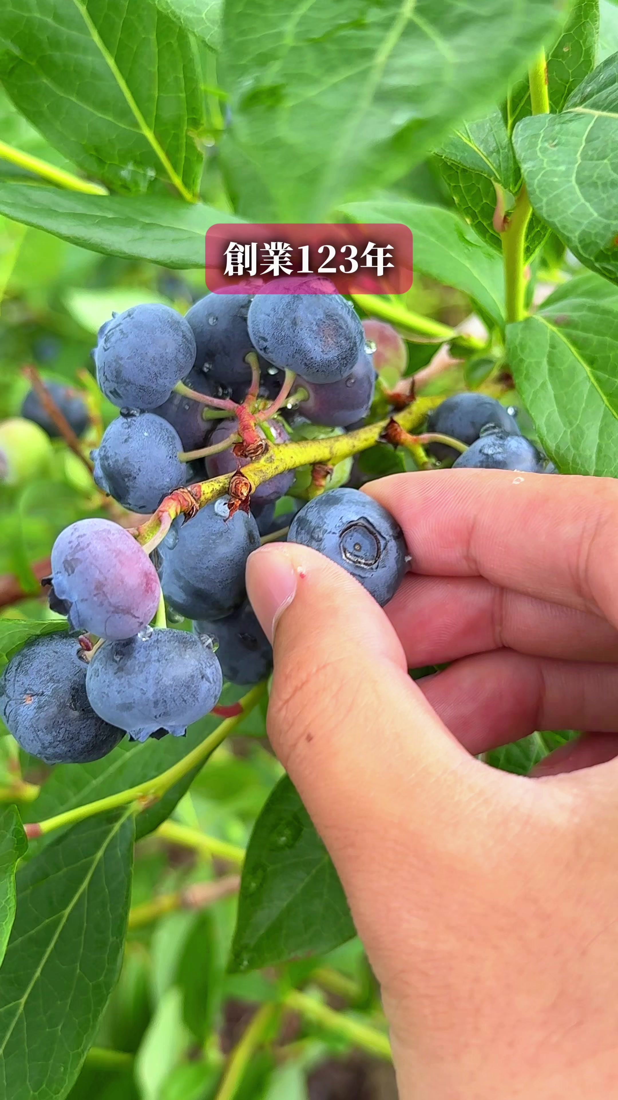 @ひろと / 大阪発！関西トレンド独占旅🔥