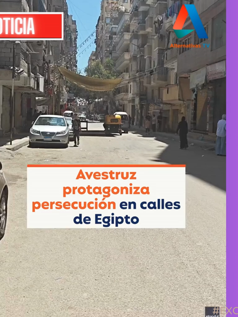 @Alternativas Tv