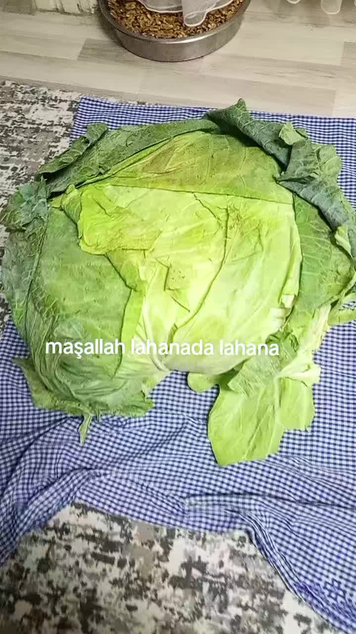 @hanım💐ağa🌹46