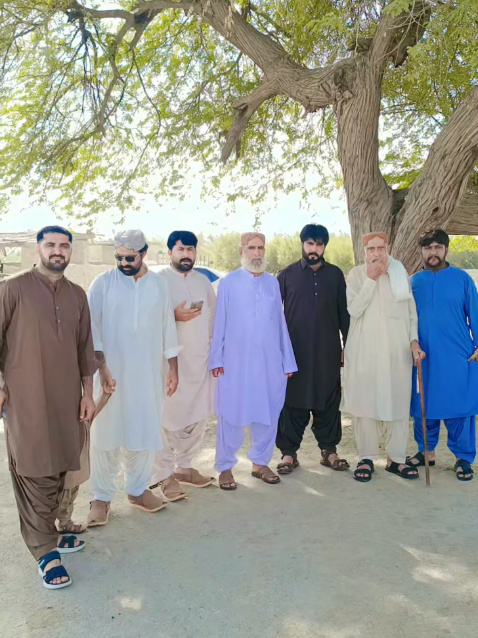 @Gull Hisbaani