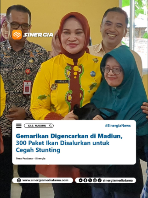 @SINERGIA MEDIATAMA