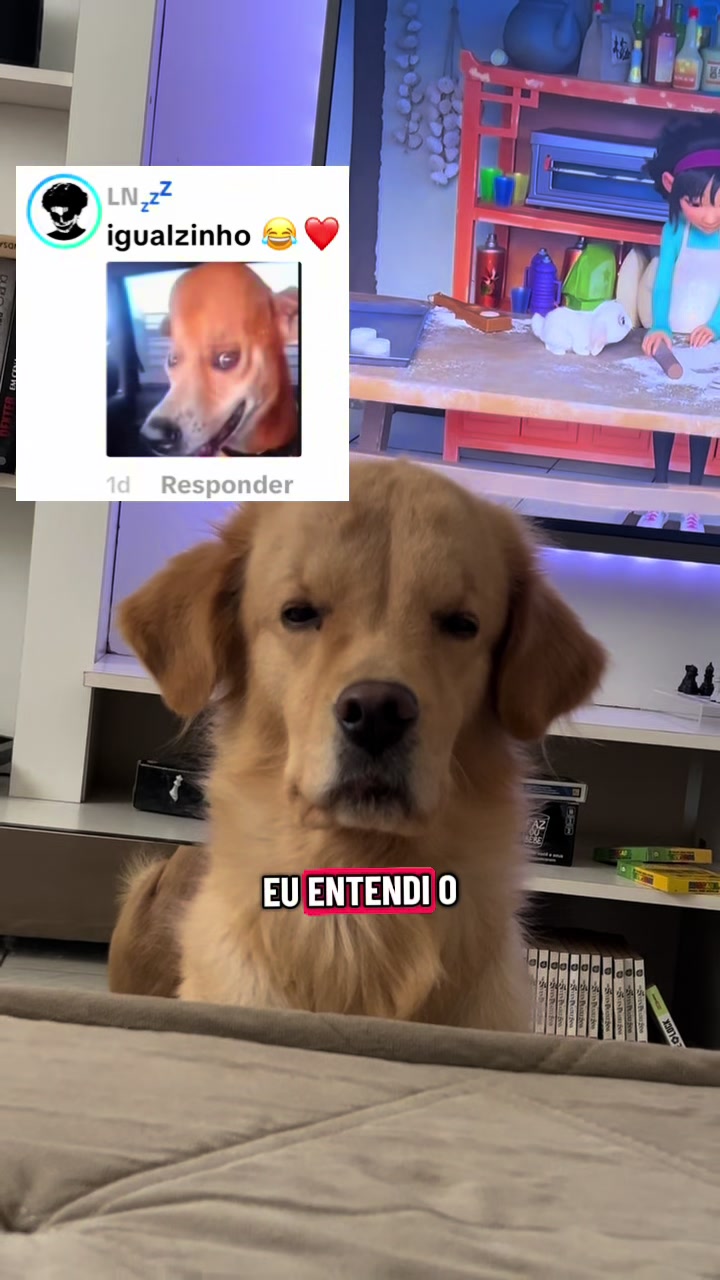 @Docinho, a golden especial.