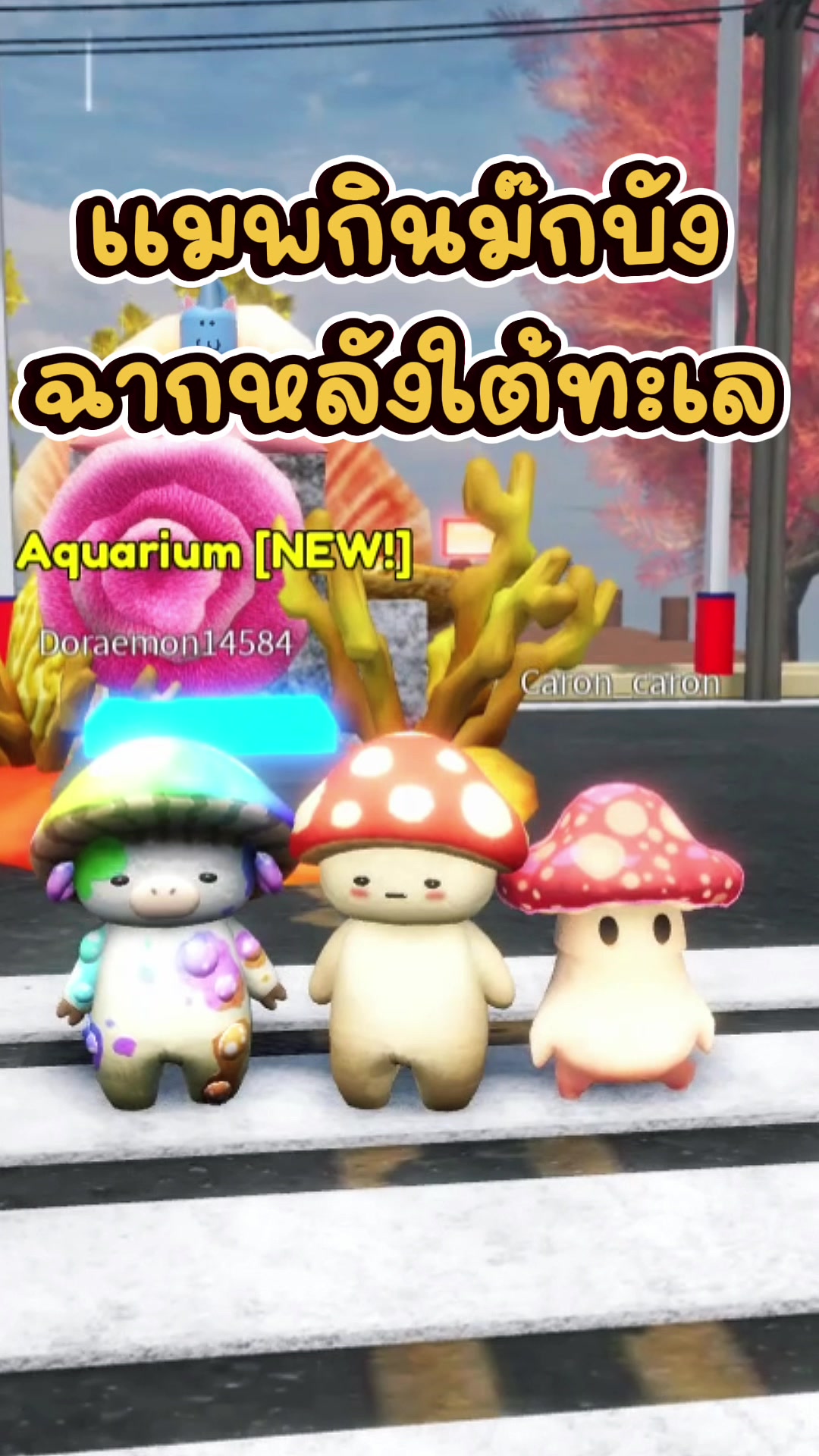 @BungearnKIKI🍄