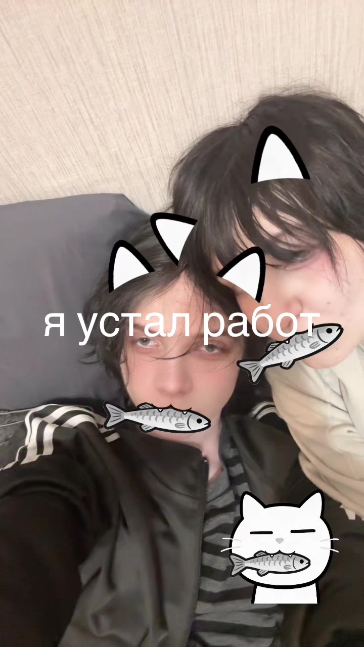 @ddlion
