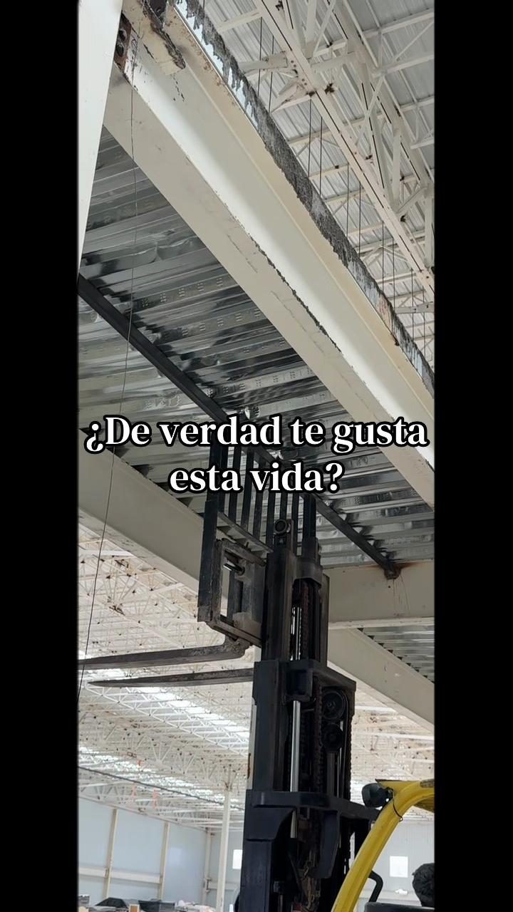 @Ale Moreno Ochoa