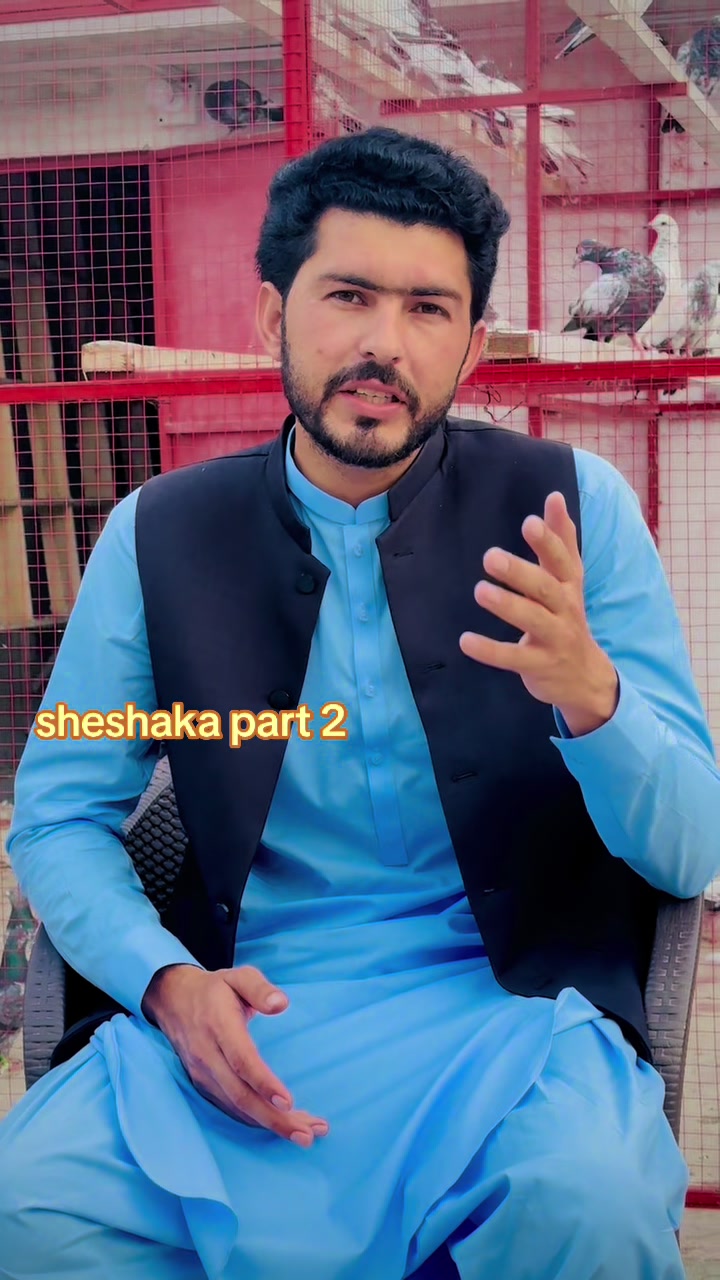 @Junaid Khan