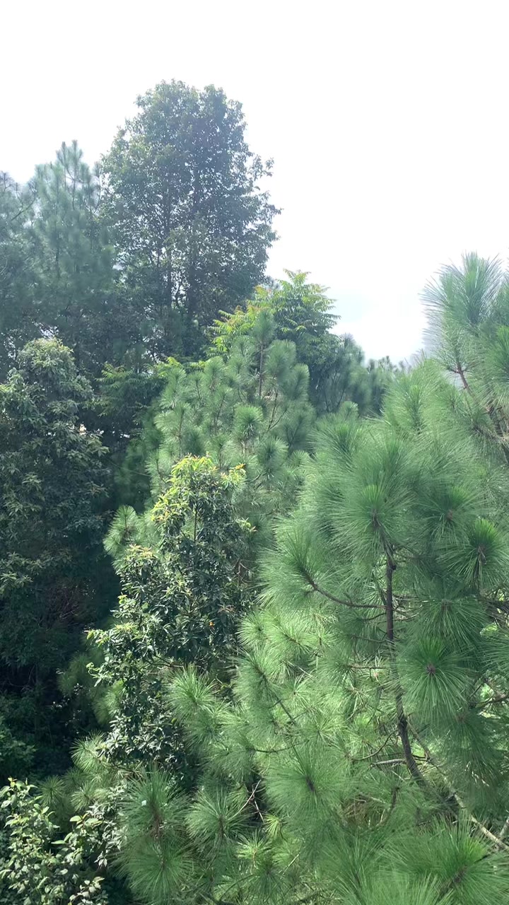 @Uttam_Official
