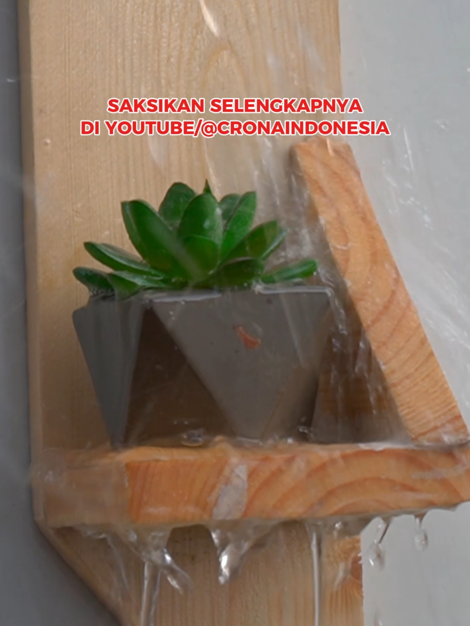 @Ini Lem Crona, bukan Corona