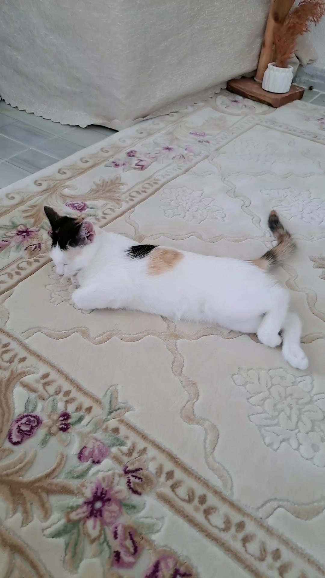 @ELAZIĞ BAYAN Kuvaförü