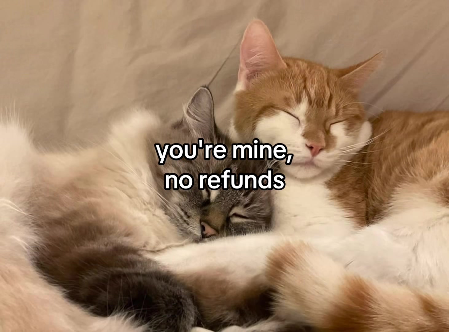 @lovecorrre