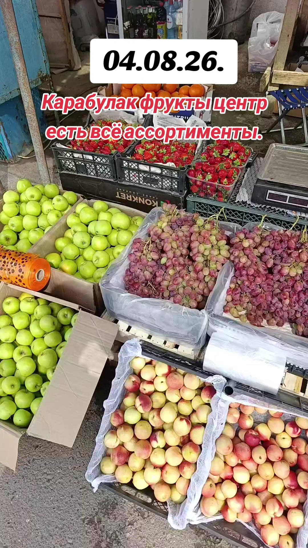 @ЭКЗОТИК ҚАРАБУЛАҚ