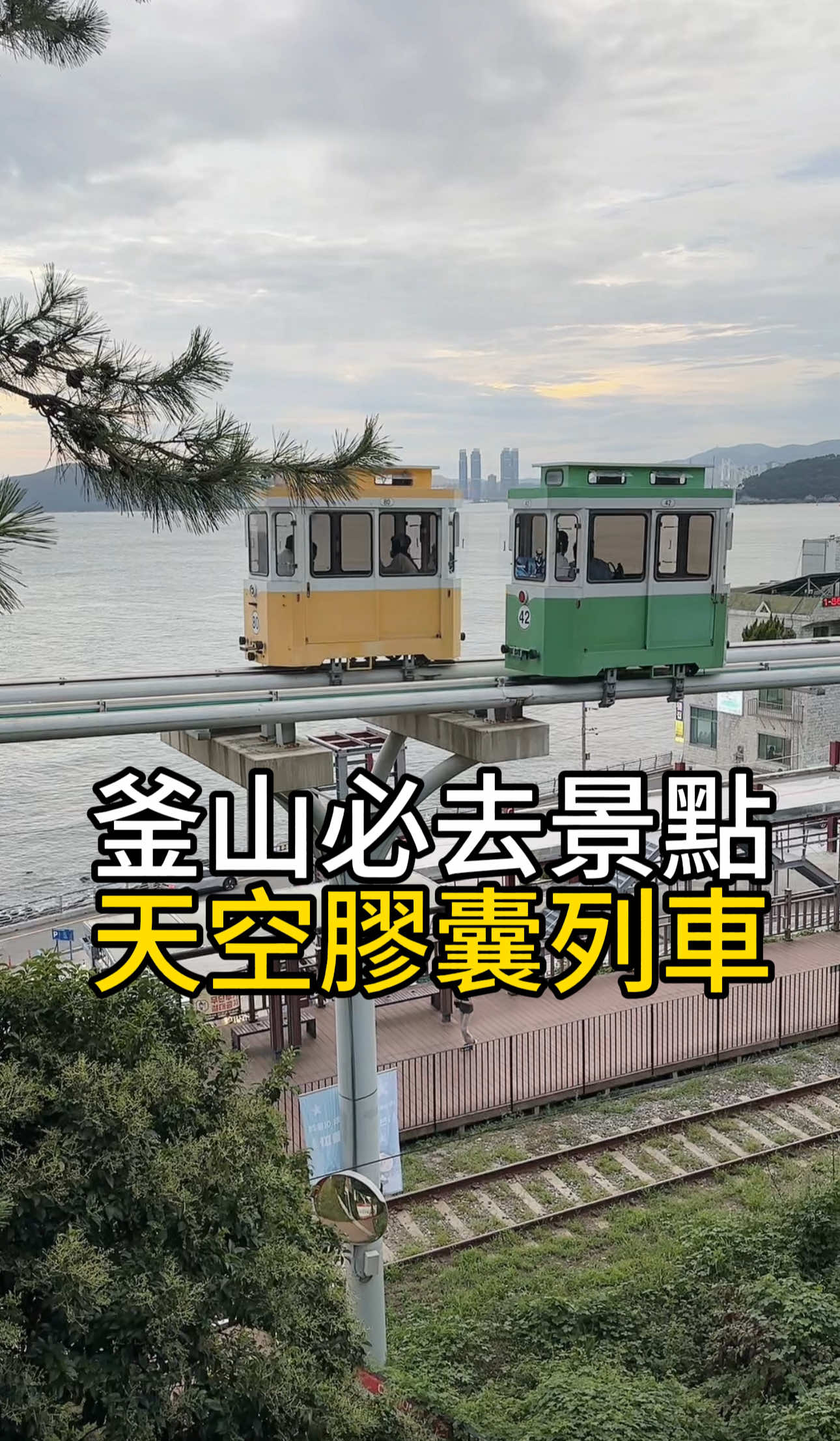 @凱特愛跟瘋