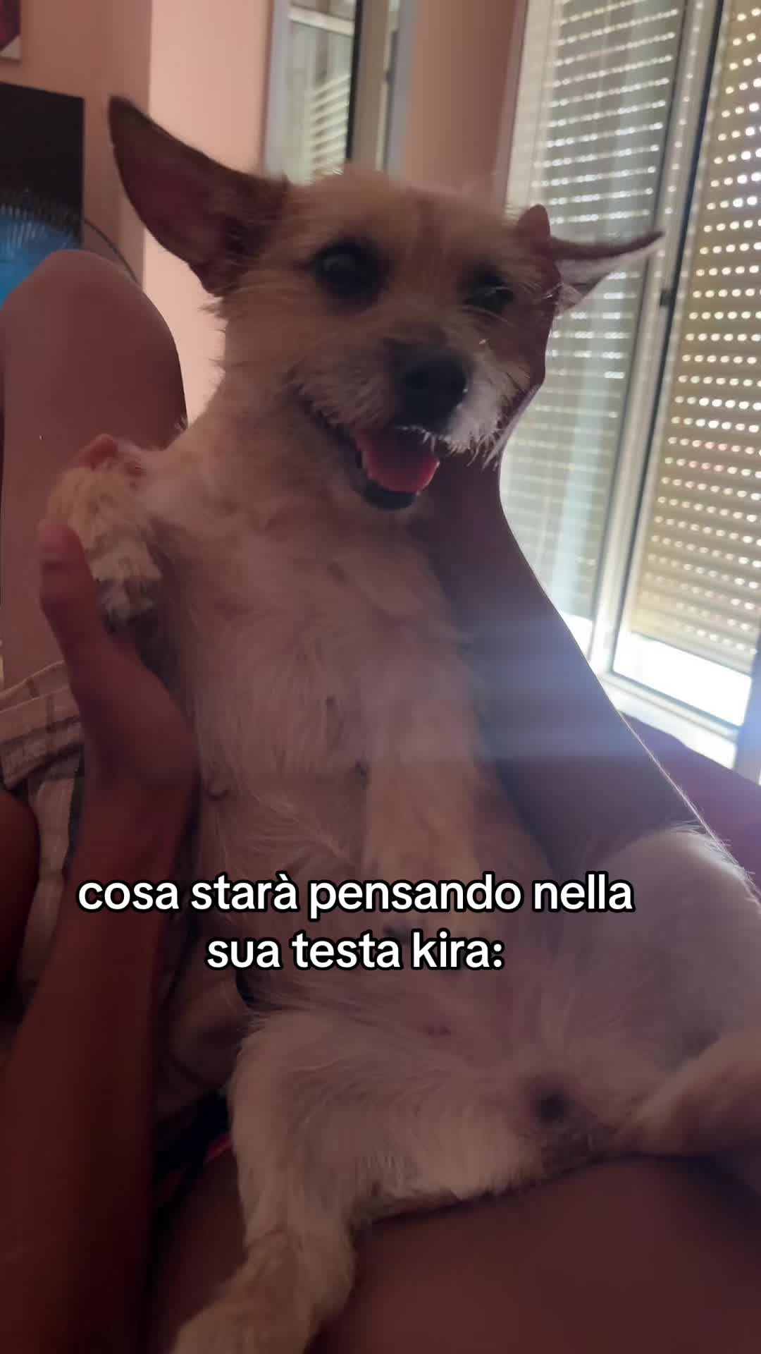 @𝒟𝑒𝒹𝑒🥀