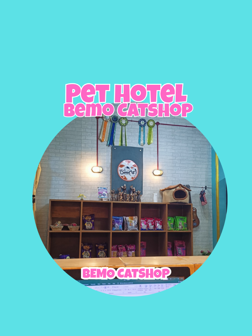 @Bemo Catshop