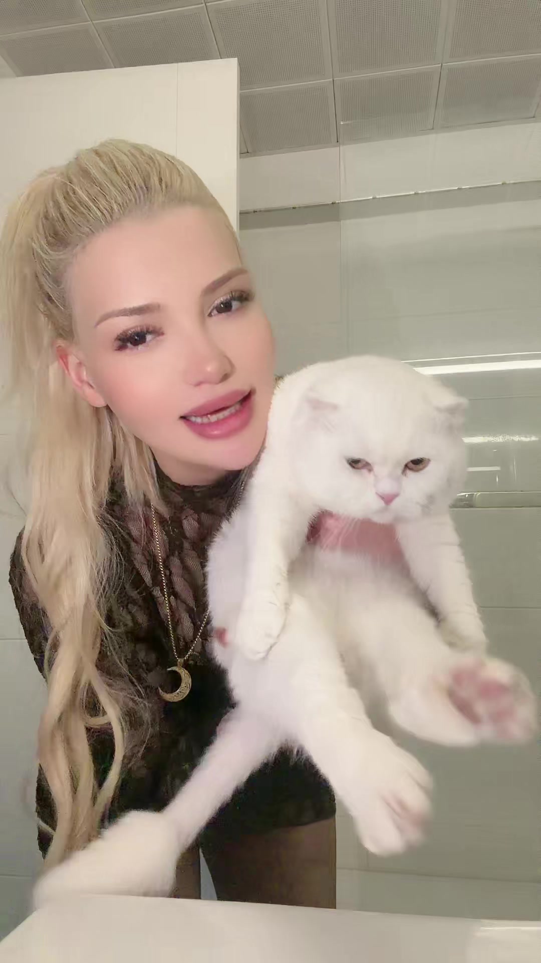 @𝐒𝐈𝐋𝐀 𝐋𝐈̇𝐕𝐄𝐋𝐘