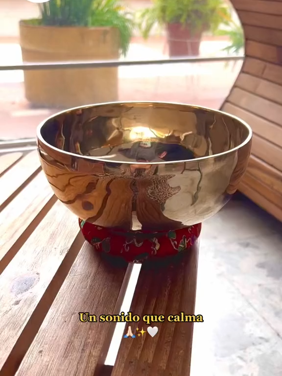 @Sentidos de la Vida