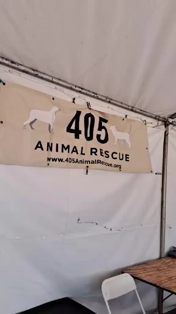 @405&ensp;Animal&ensp;Rescue