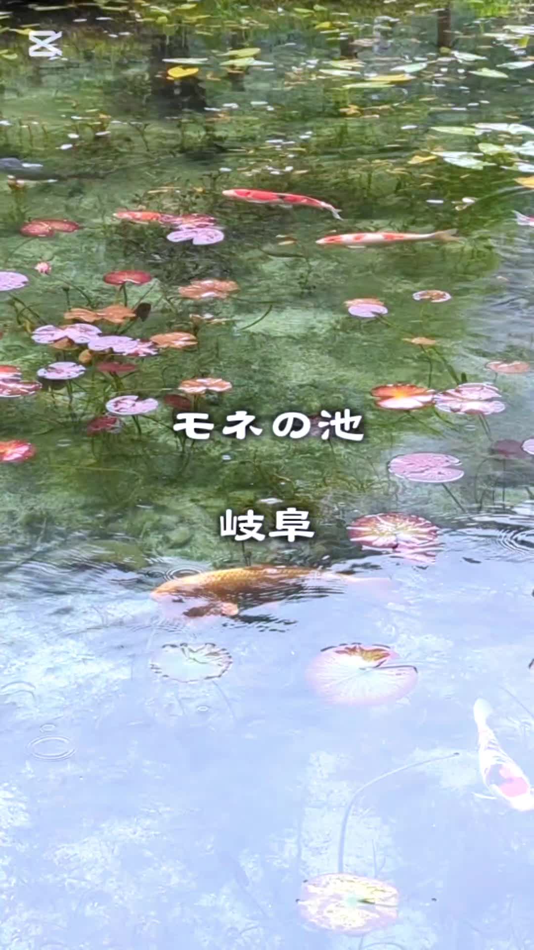 @のりのすけ【京都】