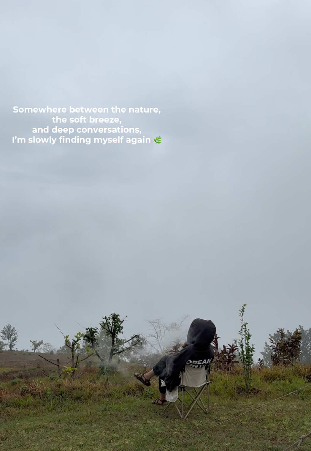 @MT