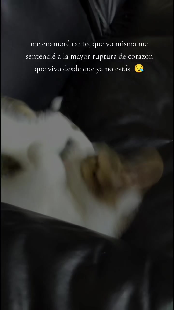 @Ana Yanett