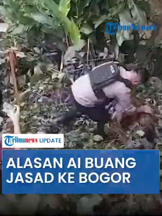 @Tribunnews Wiki