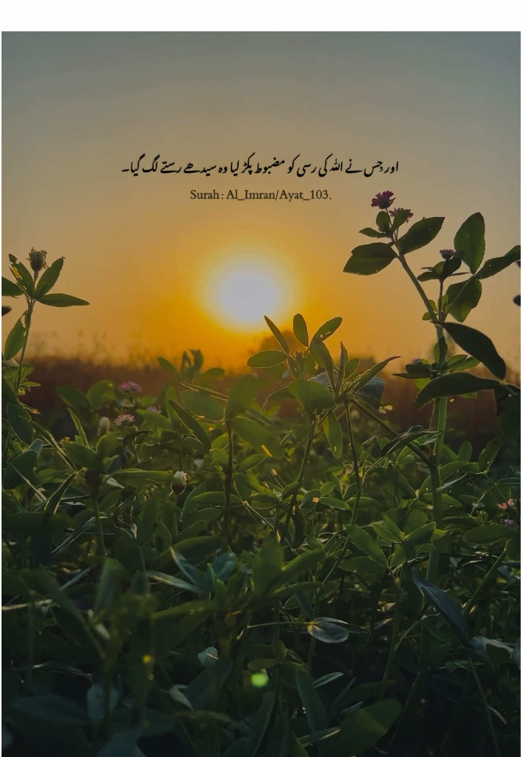 @پنجاب❤️🩹
