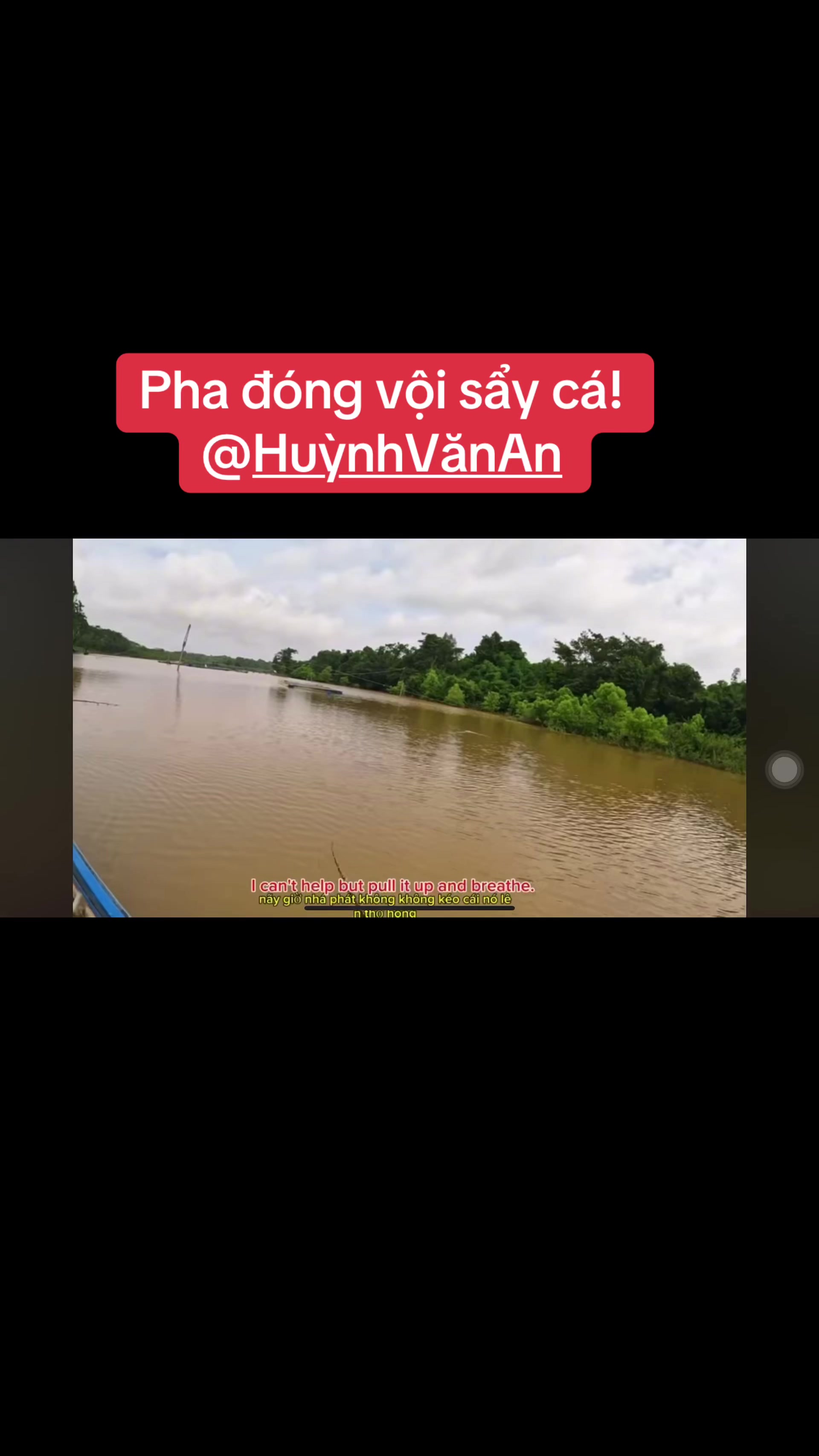 @Cuboi_longthanh