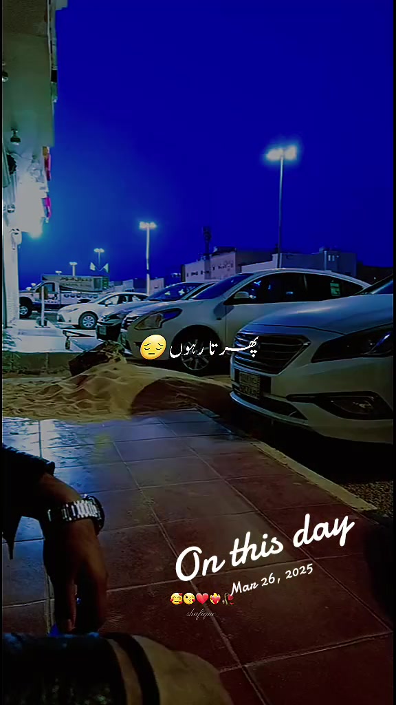 @Ham Tum Azmgarh🇮🇳