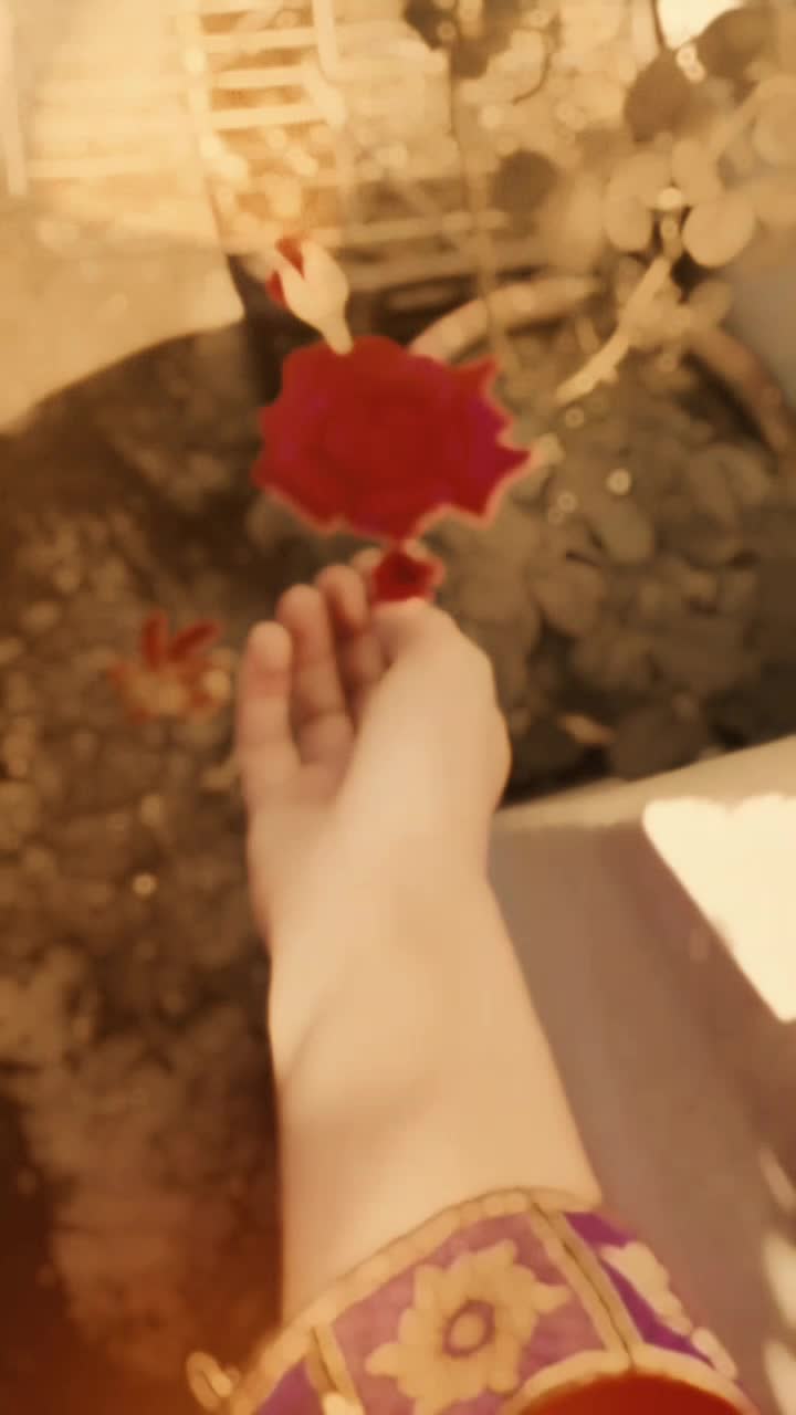 @عریشہ ملک 👑