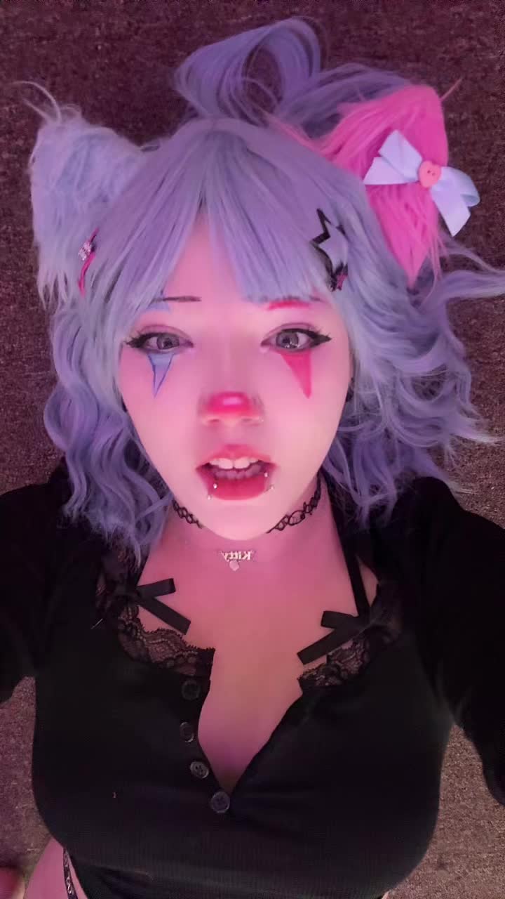@kitty