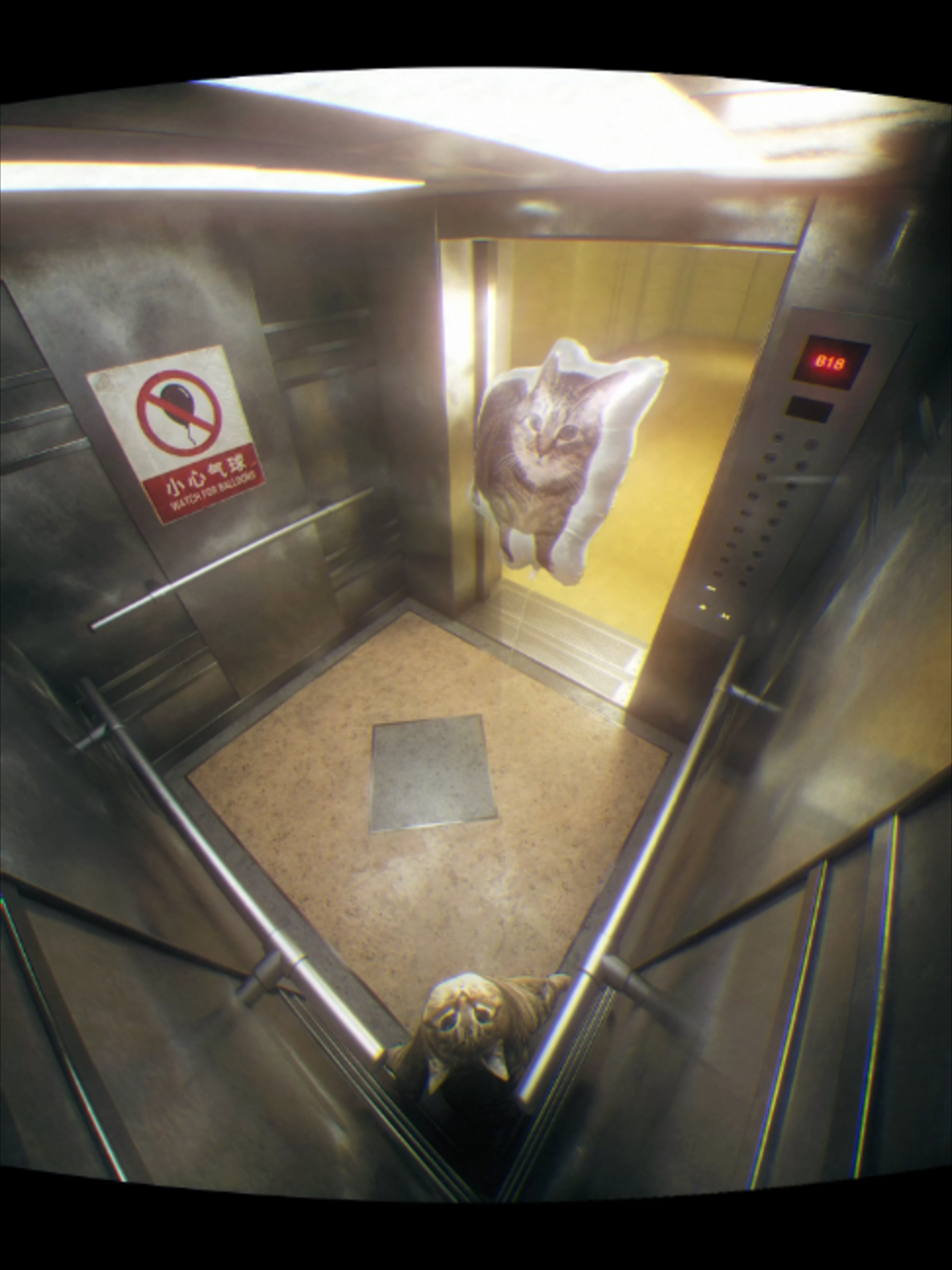 @TinyYelly 小黄脸