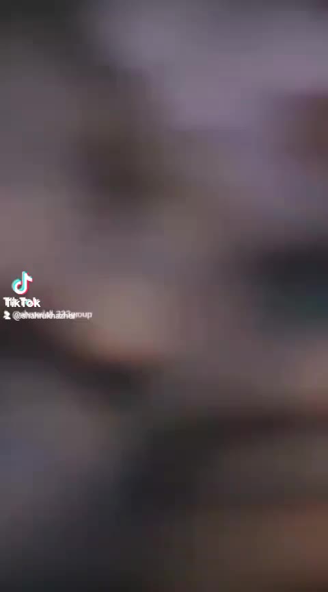 @ziddi Rajput
