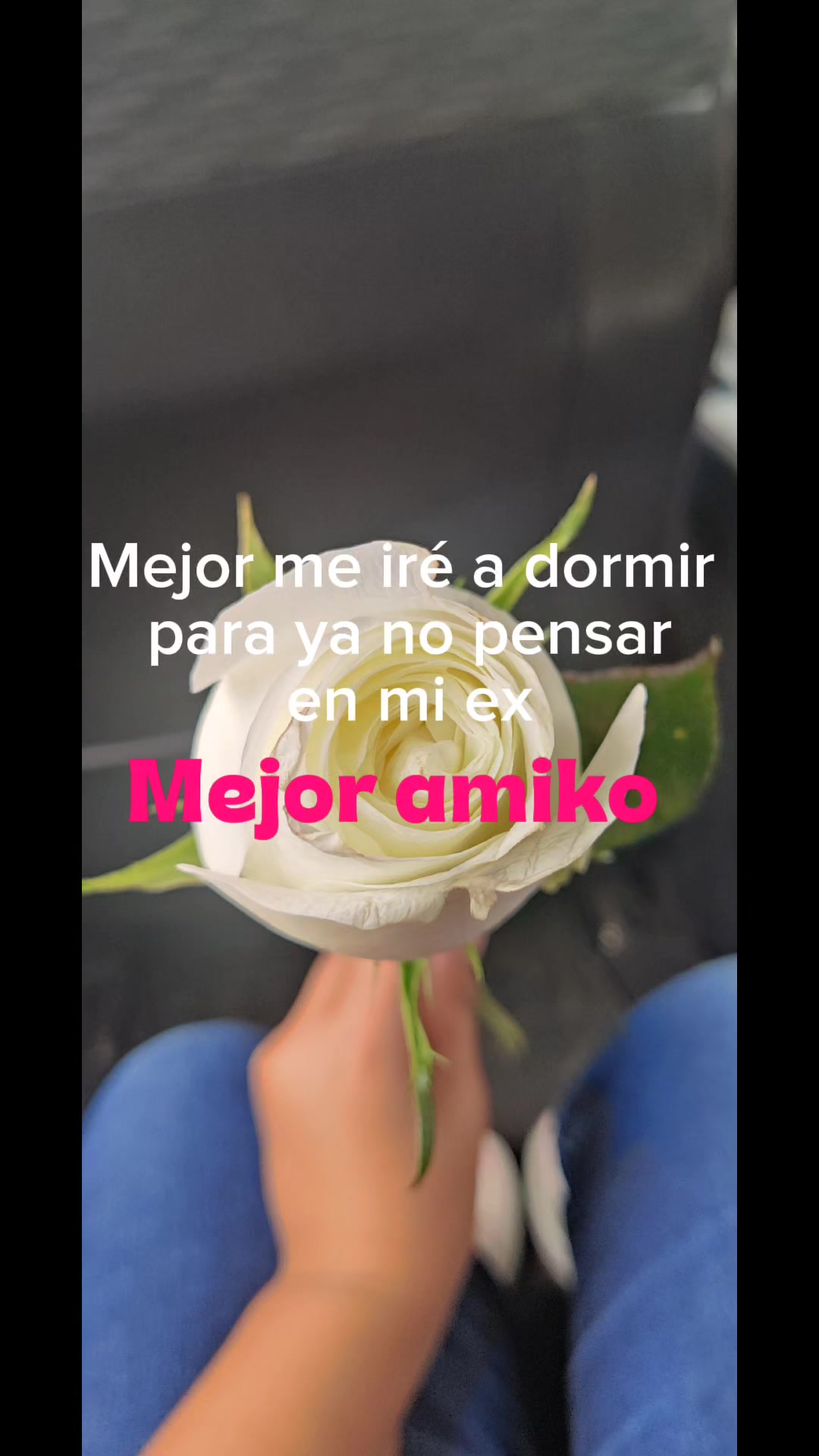 @secta arcoiris 💅💋