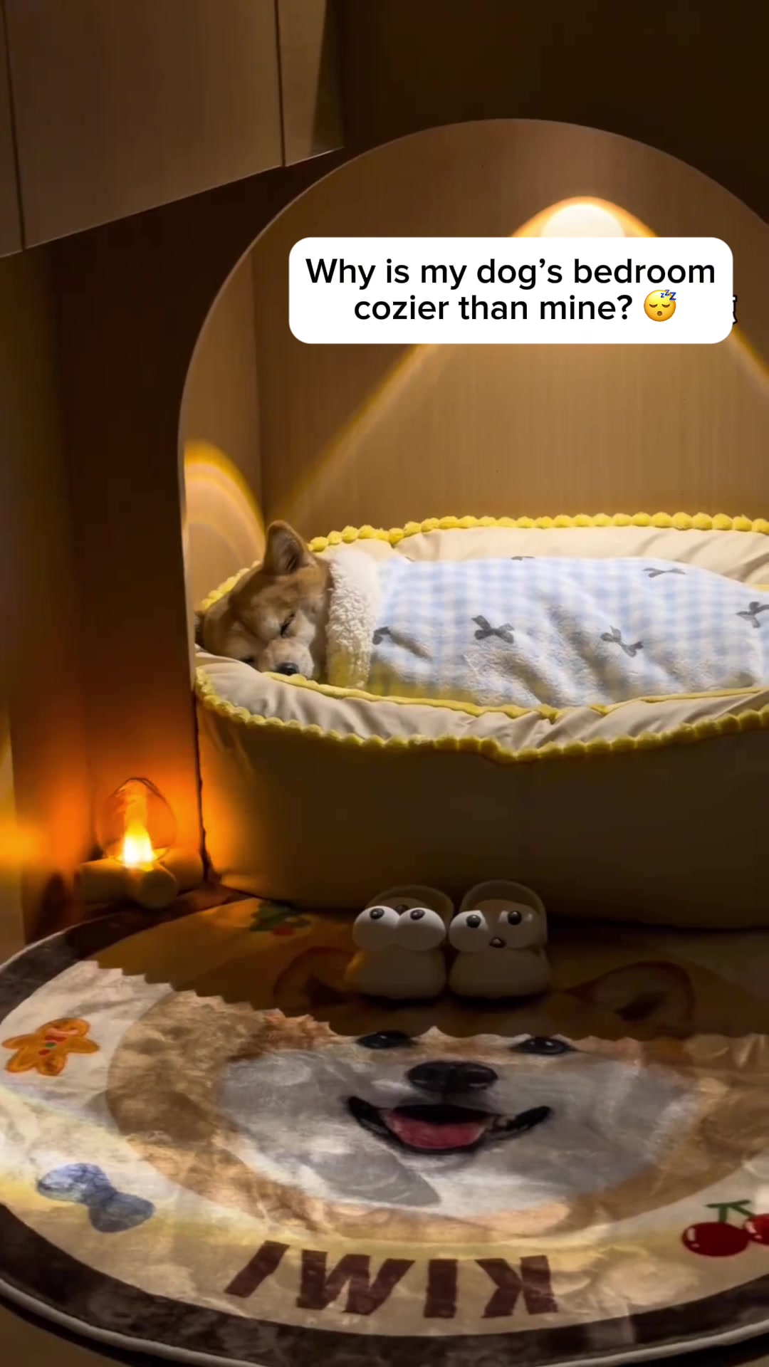 @Purrfect Oasis
