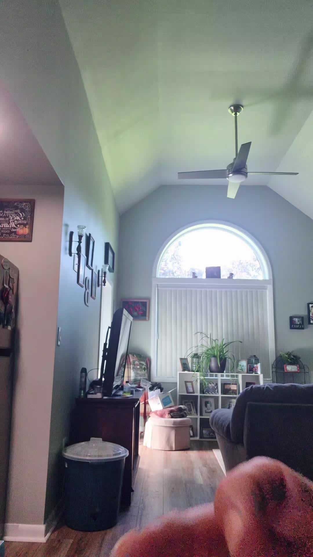 @Brett Bishop499