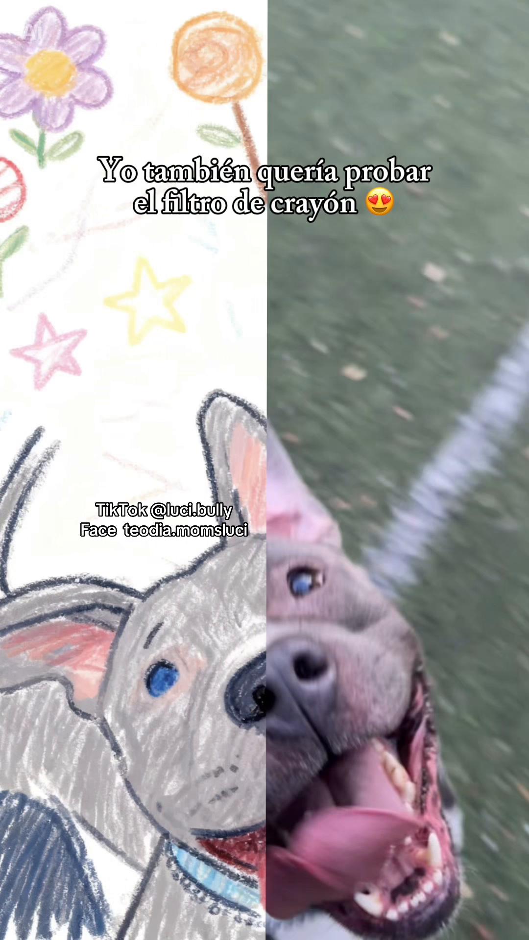 @luci.bully