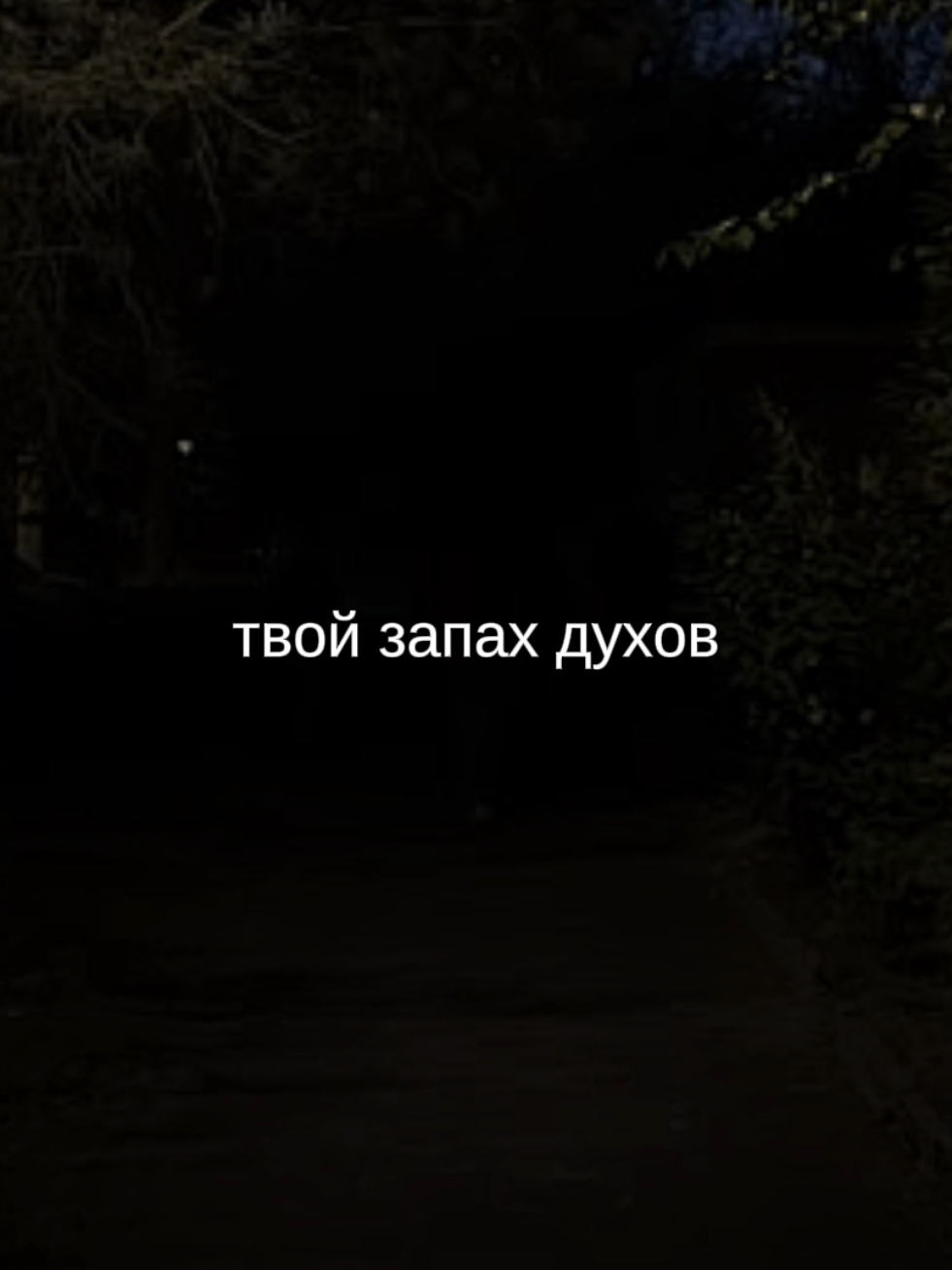 @twinki song