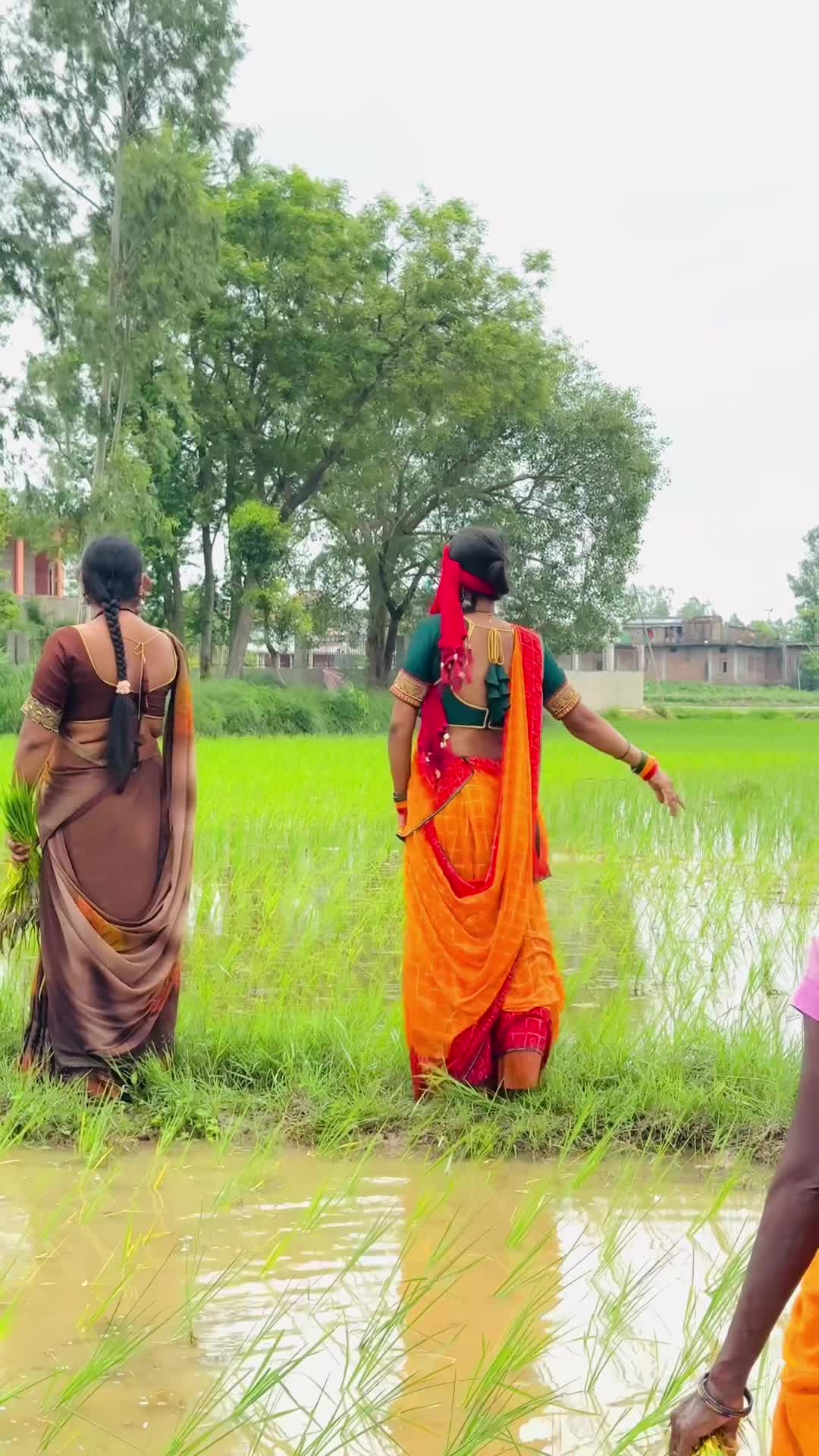 @Rita Mahato