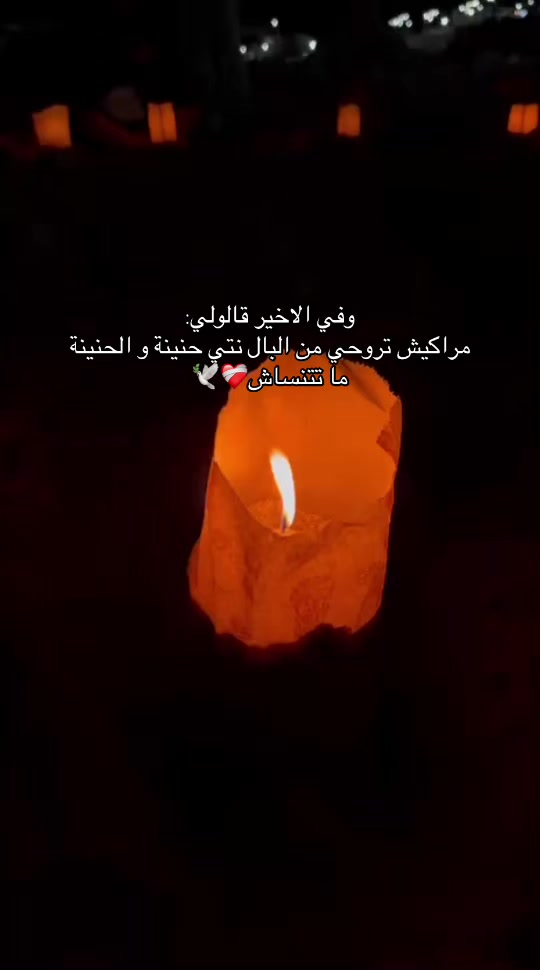 @🕊️