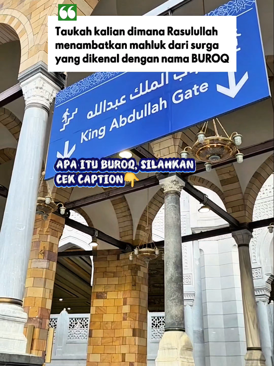 @Raja Travel