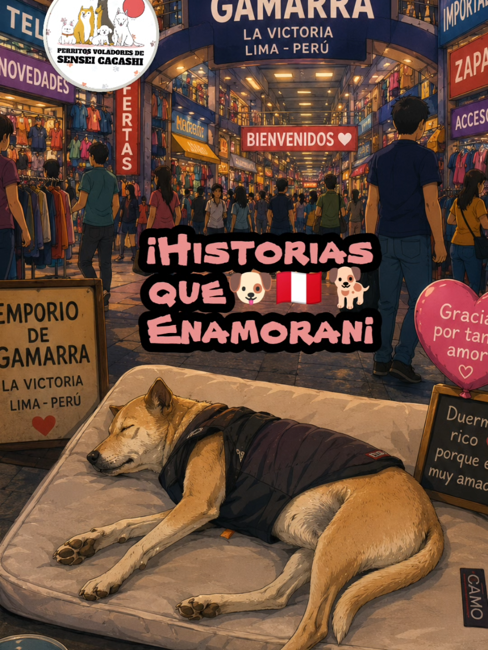 @Perritos Voladores