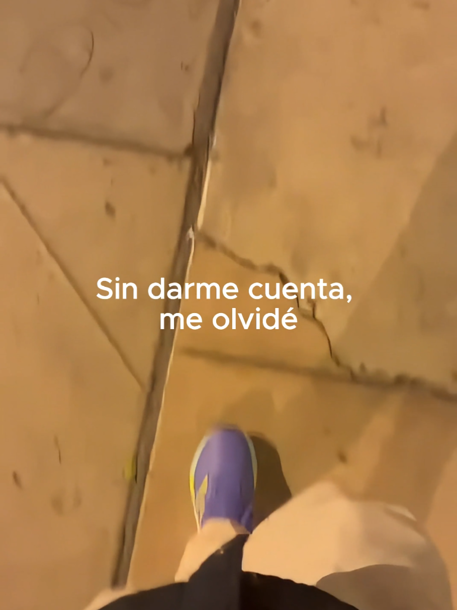 @Tamauta