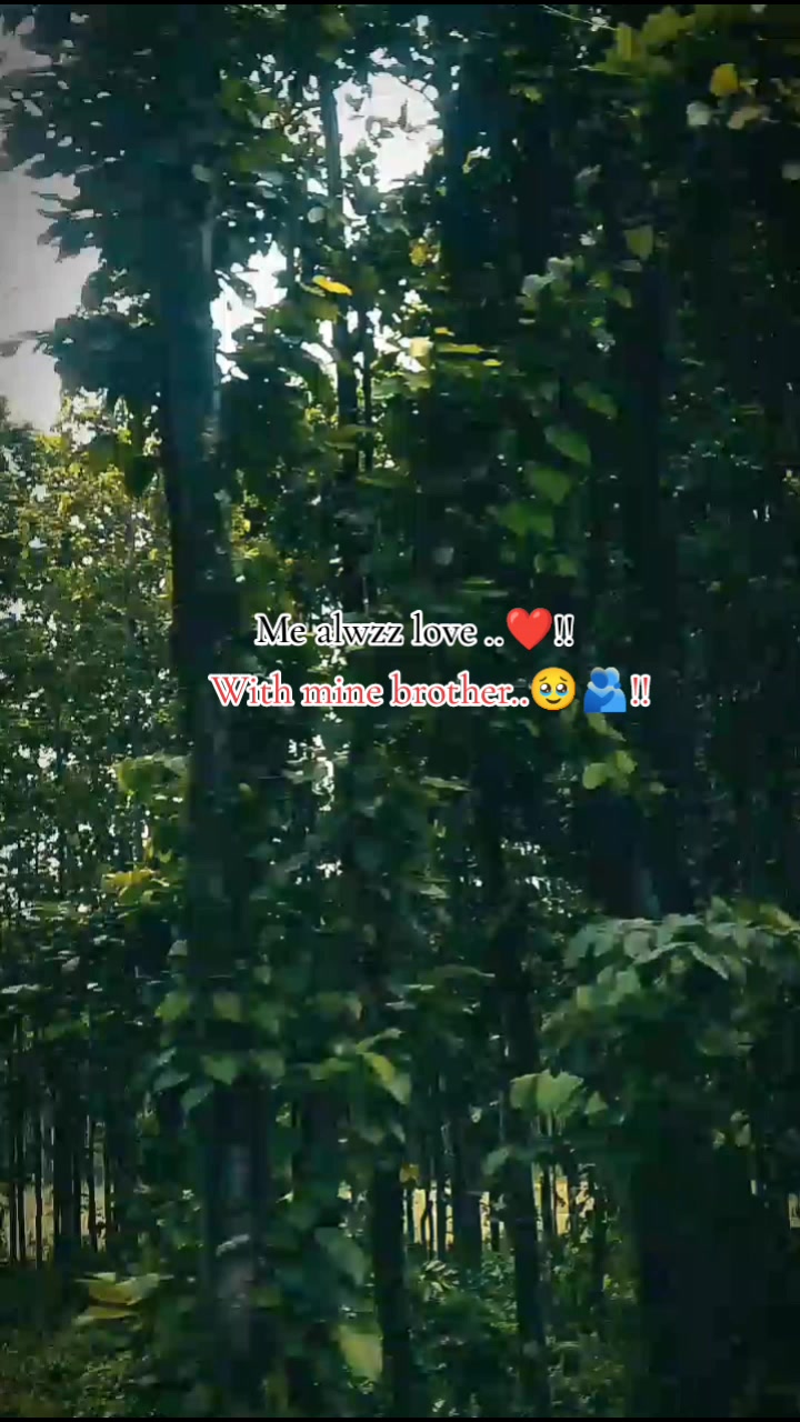 @<𓆩Ñ ɪ ʀ ᴀ ᴊ𓆪>