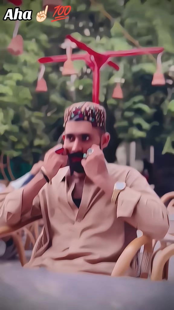 @☝🏻باغی🥷🏻 چوہدری🦁823🏴☠️